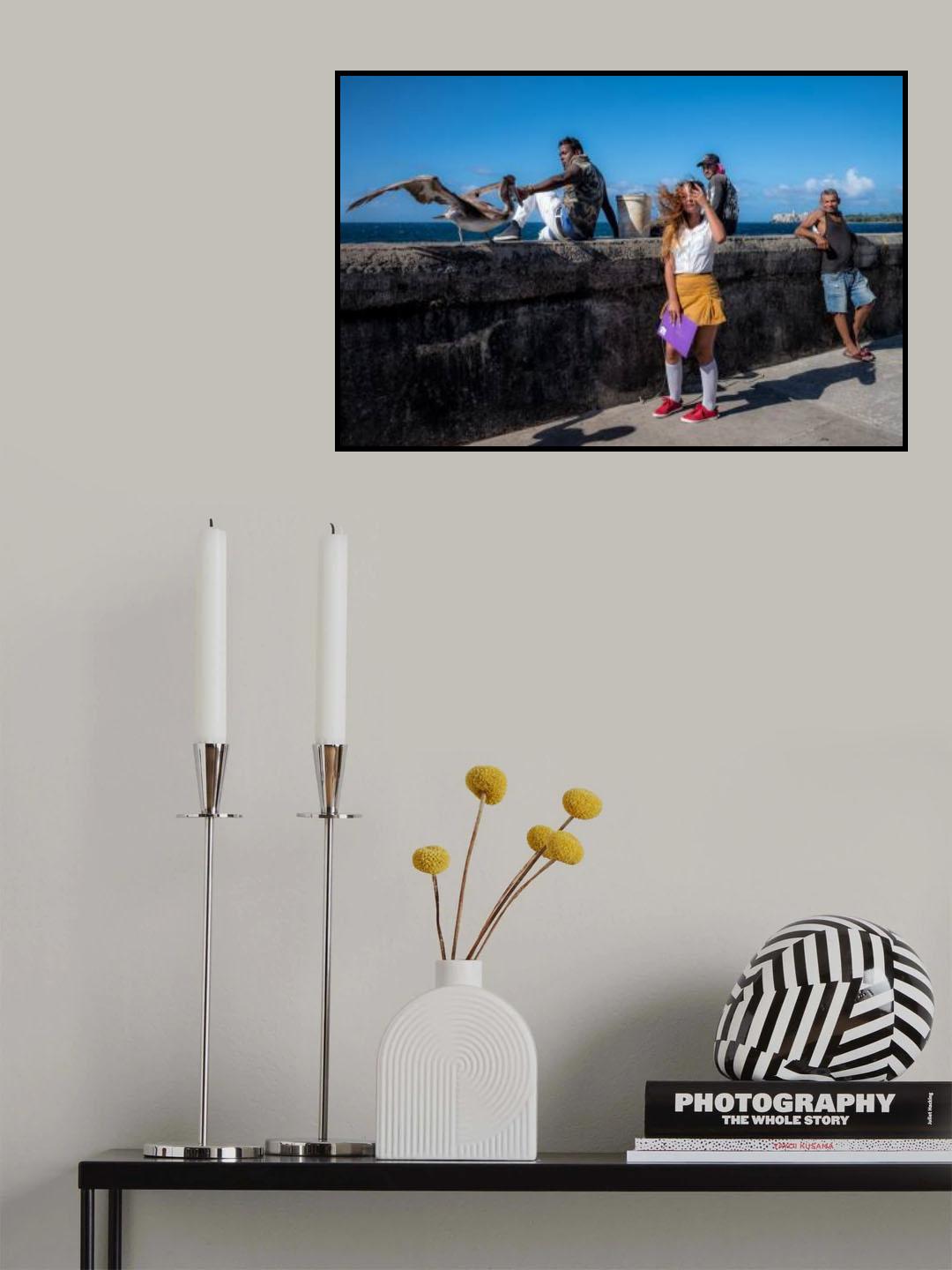 The Malecón Story Poster och Canvastavla