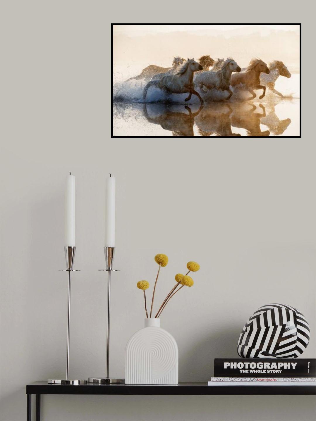 Horses Poster och Canvastavla