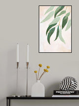 Australian Eucalyptus leaves Poster och Canvastavla