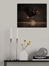 Phantom Poster och Canvastavla