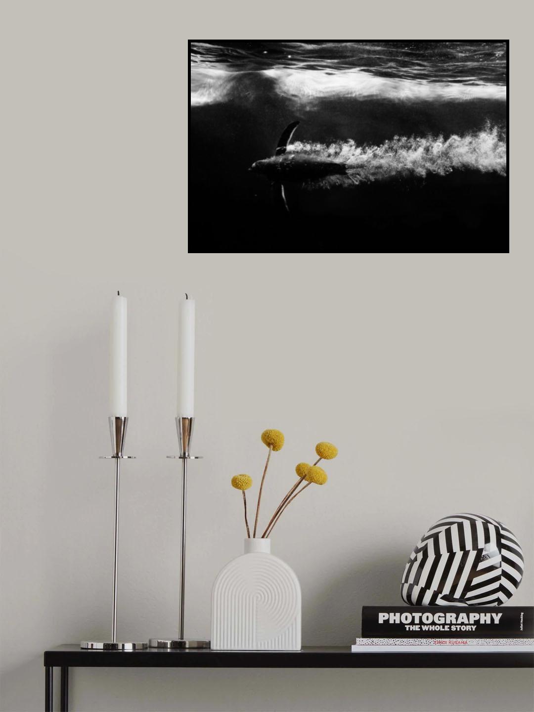 Penguin shot Poster och Canvastavla