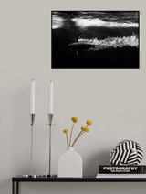 Penguin shot Poster och Canvastavla