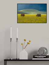 Poster och Canvastavla