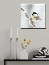 Willow tit in winter. Poster och Canvastavla