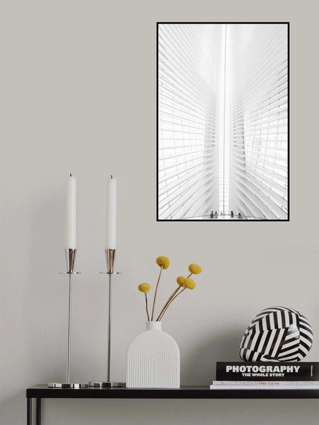 Calatrava Vision Poster och Canvastavla