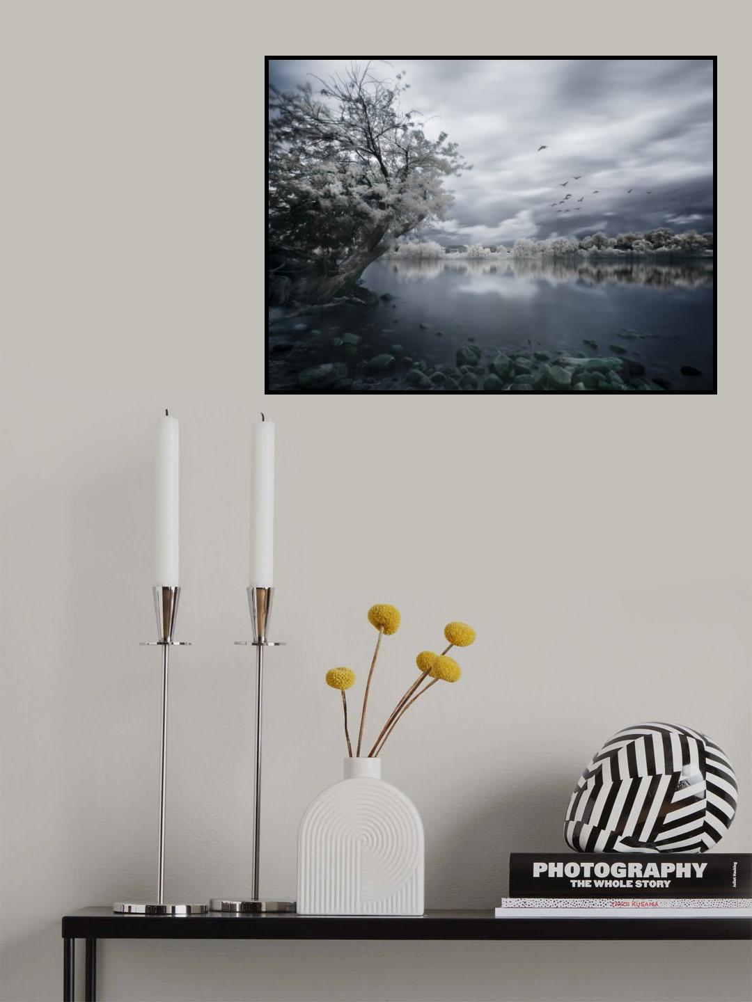 Migration Poster och Canvastavla