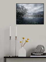 Migration Poster och Canvastavla