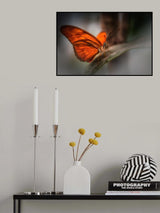 orange Poster och Canvastavla