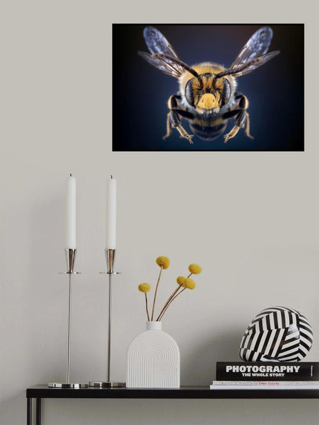 WildBee Poster och Canvastavla