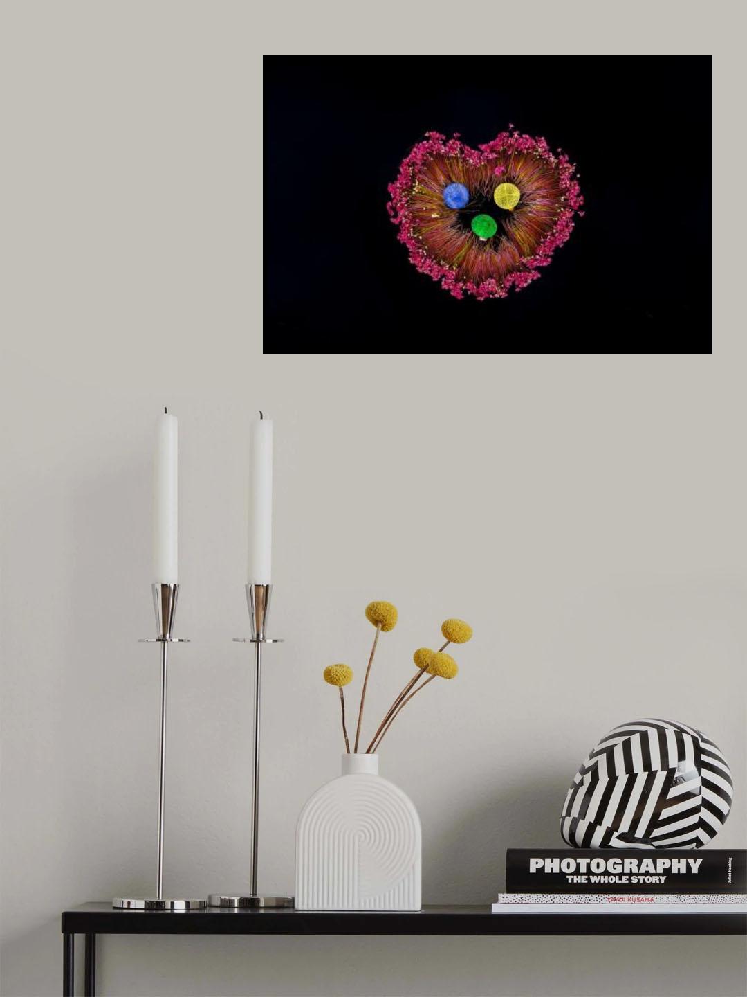 Harvesting water lilies Poster och Canvastavla