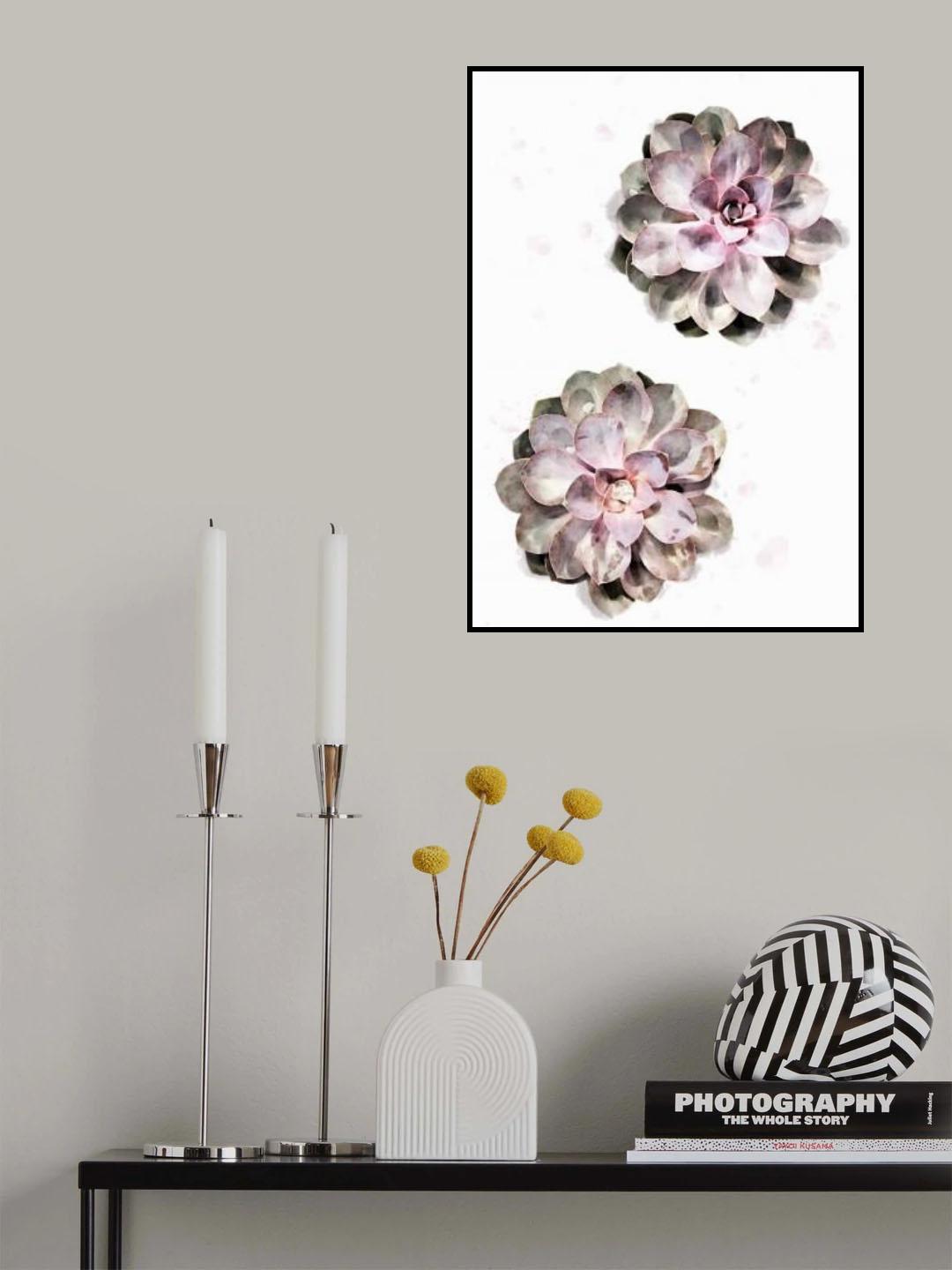 Succulent 02 Poster och Canvastavla