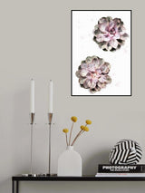 Succulent 02 Poster och Canvastavla