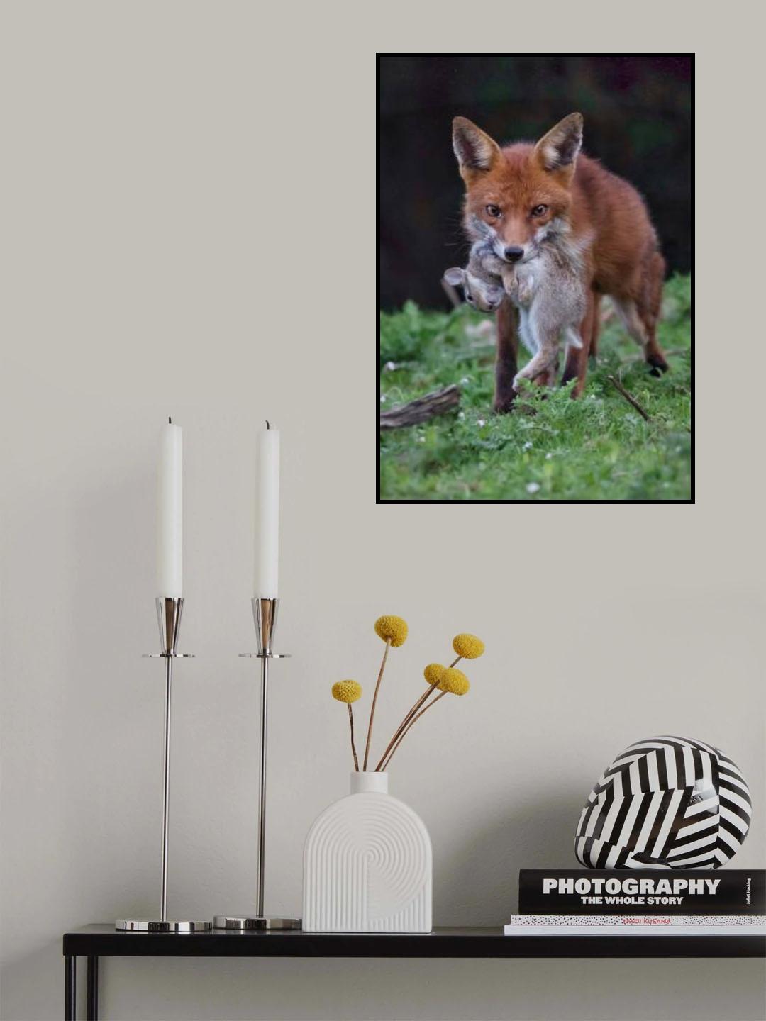 Rabbit for lunch Poster och Canvastavla