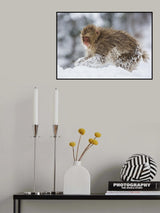 Wild and Free Poster och Canvastavla