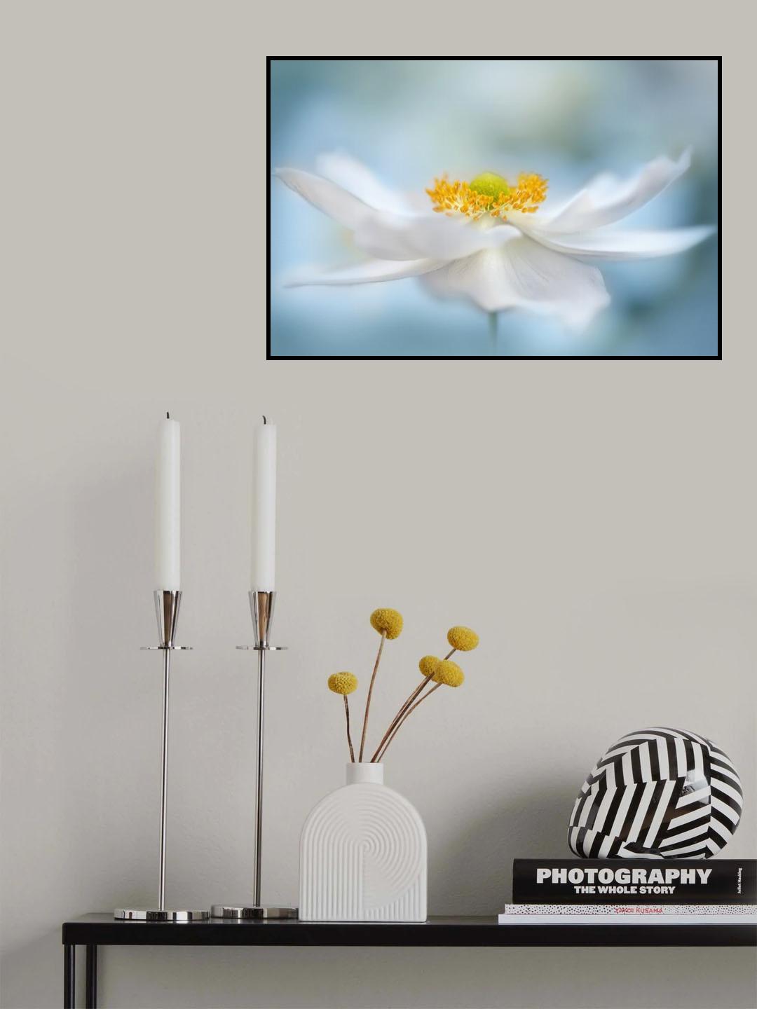 Fragility Poster och Canvastavla