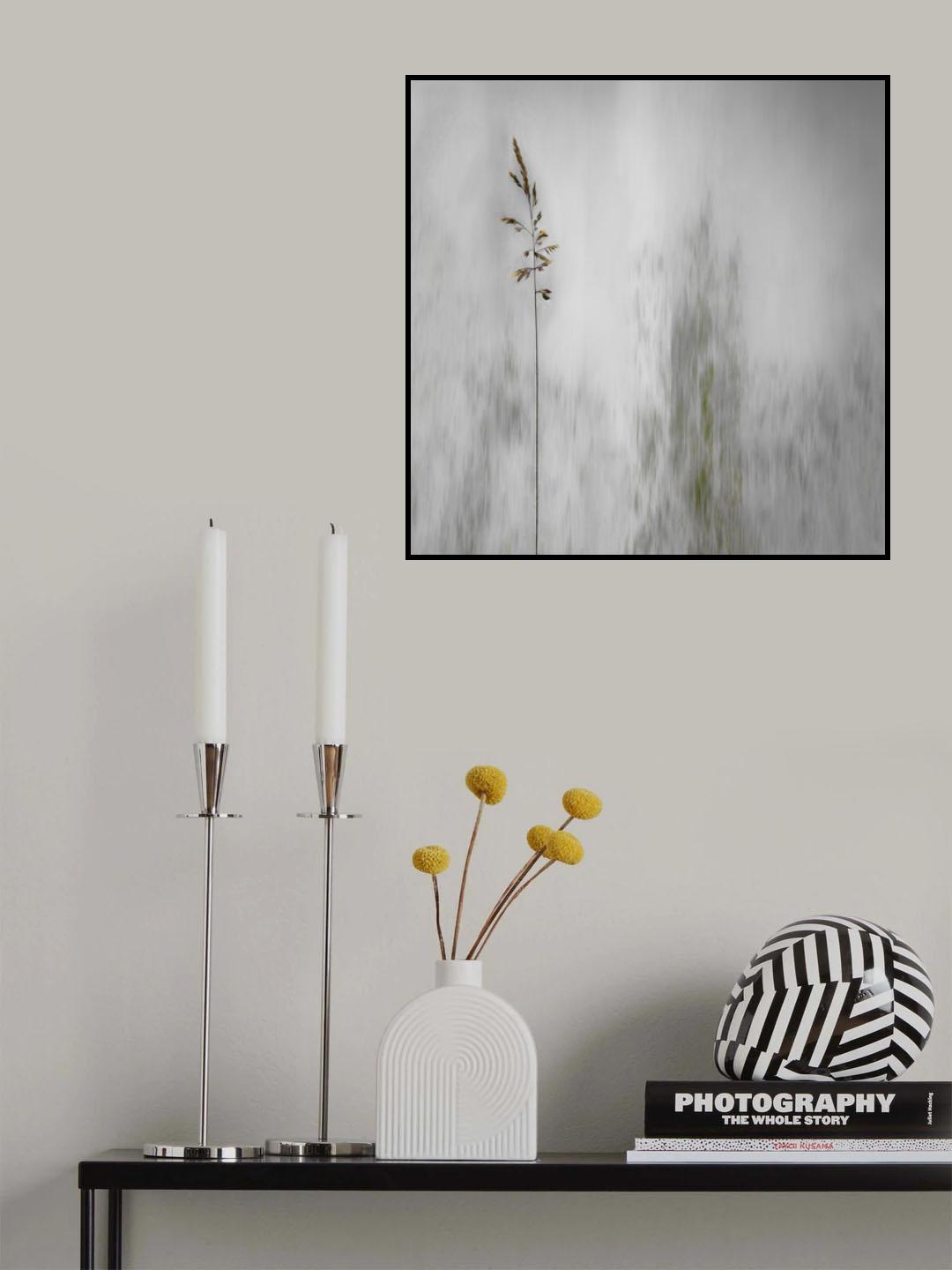 blade of grass Poster och Canvastavla