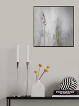 blade of grass Poster och Canvastavla