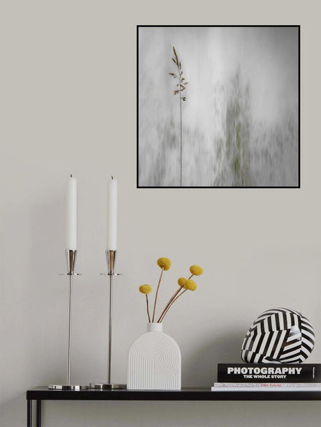 blade of grass Poster och Canvastavla