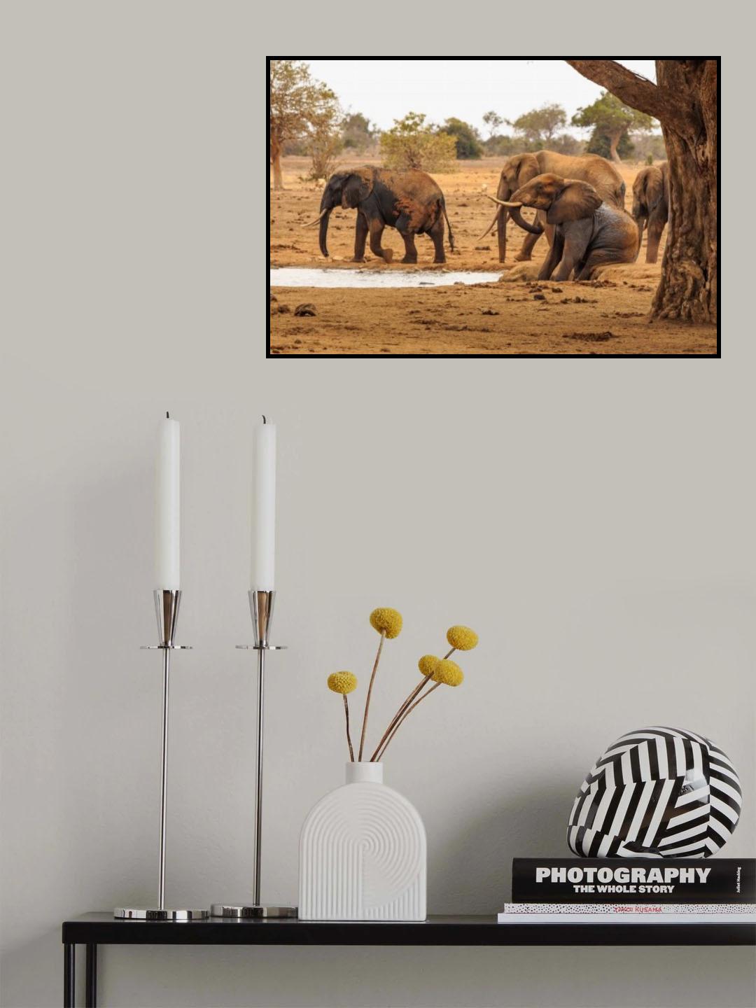 Refreshing Poster och Canvastavla