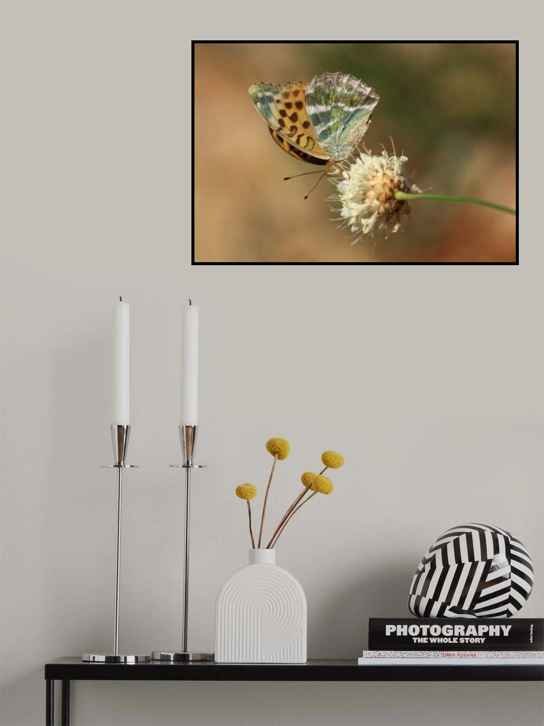 Silver-washed Fritillary Poster och Canvastavla