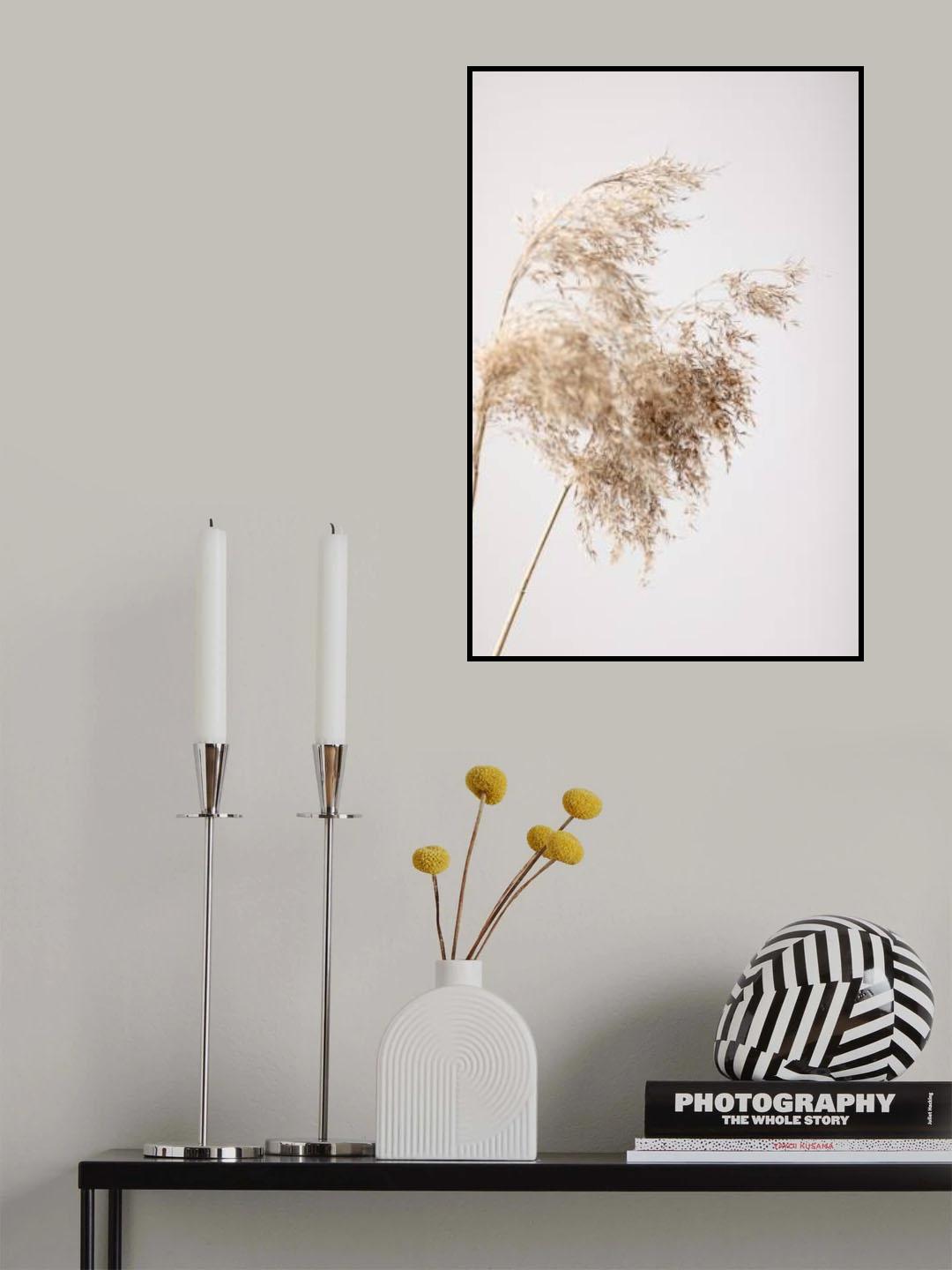 Reed Grass Grey 04 Poster och Canvastavla
