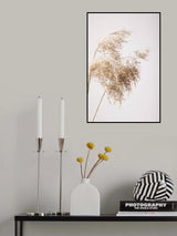 Reed Grass Grey 04 Poster och Canvastavla