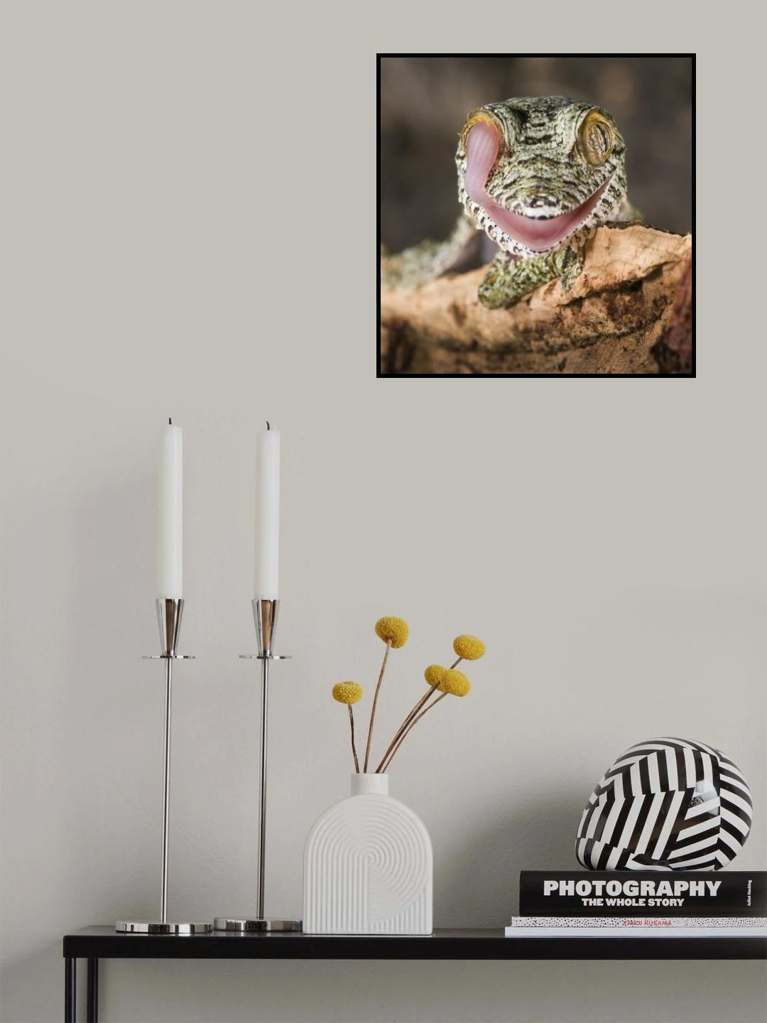 Uroplatus fimbriatus Poster och Canvastavla