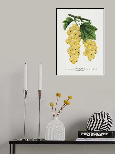 White Grape Lithograph Poster och Canvastavla