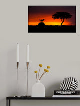 Looking for Something Poster och Canvastavla
