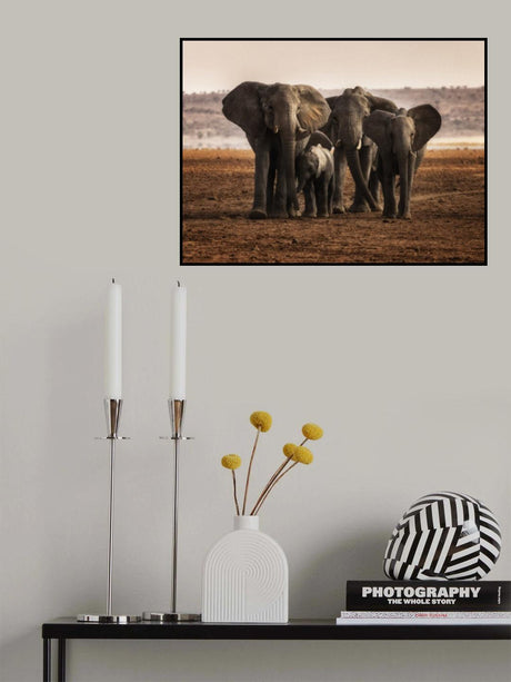 Family Ties Poster och Canvastavla