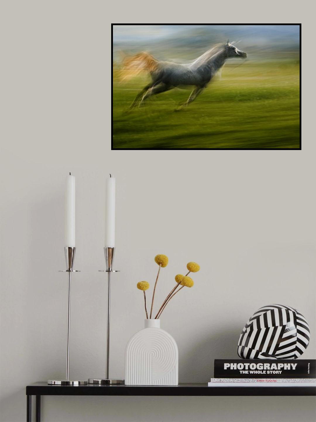 as an arrow Poster och Canvastavla