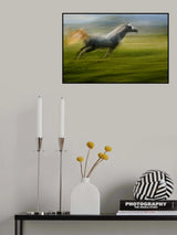 as an arrow Poster och Canvastavla