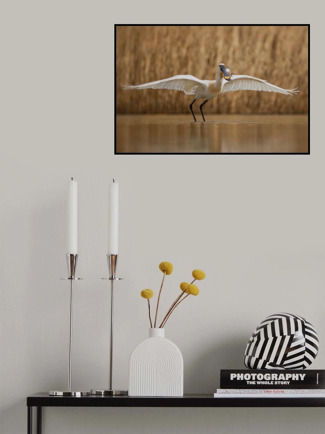 Catch of the day Poster och Canvastavla