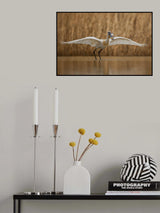 Catch of the day Poster och Canvastavla