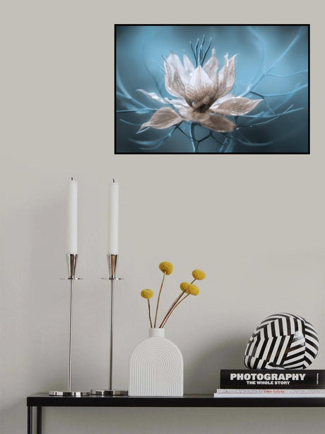 *Nigella* Poster och Canvastavla