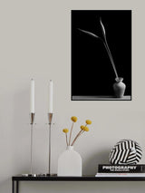 Double Poster och Canvastavla