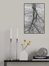 raindrops Poster och Canvastavla