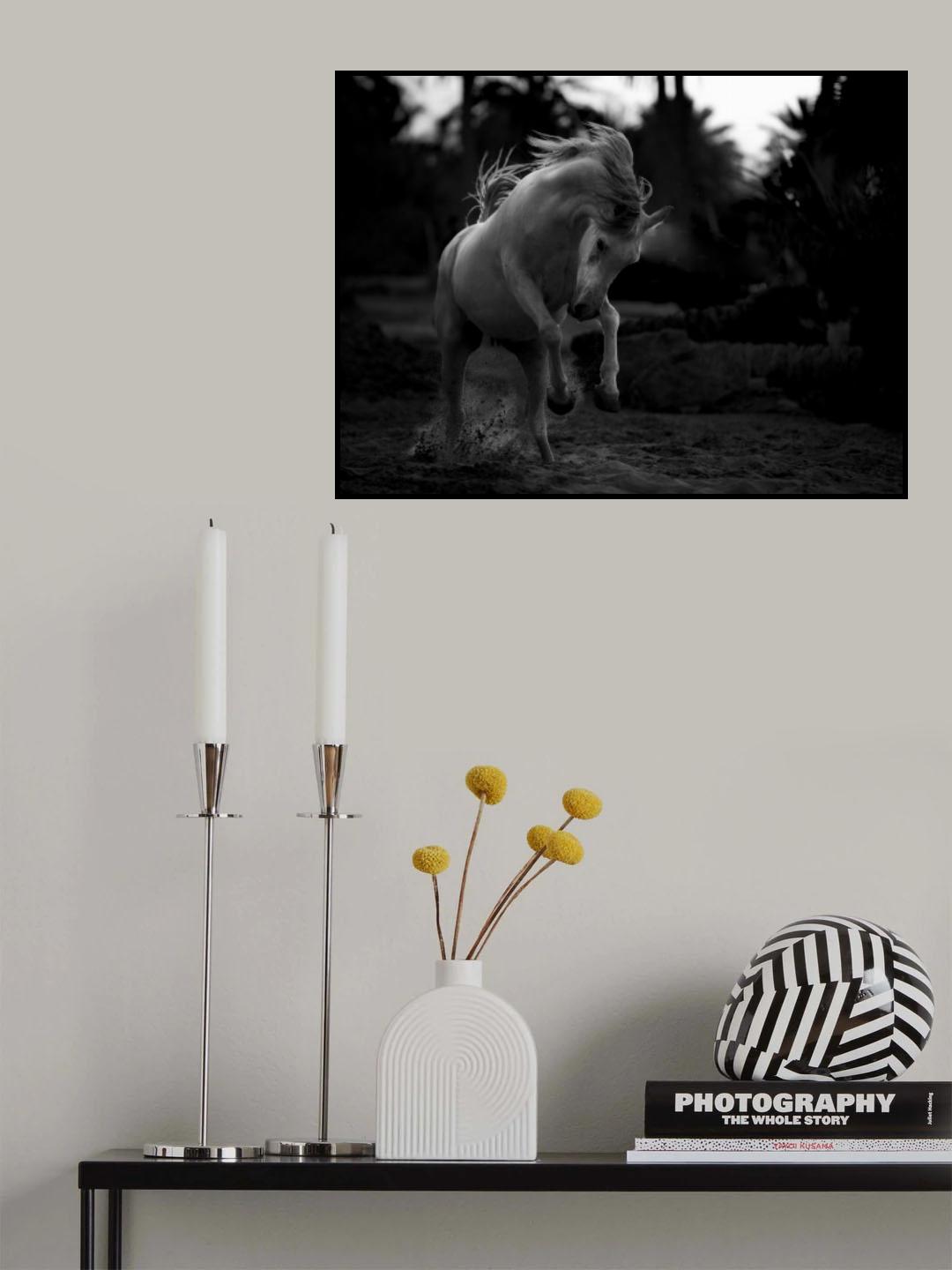 Boast Poster och Canvastavla