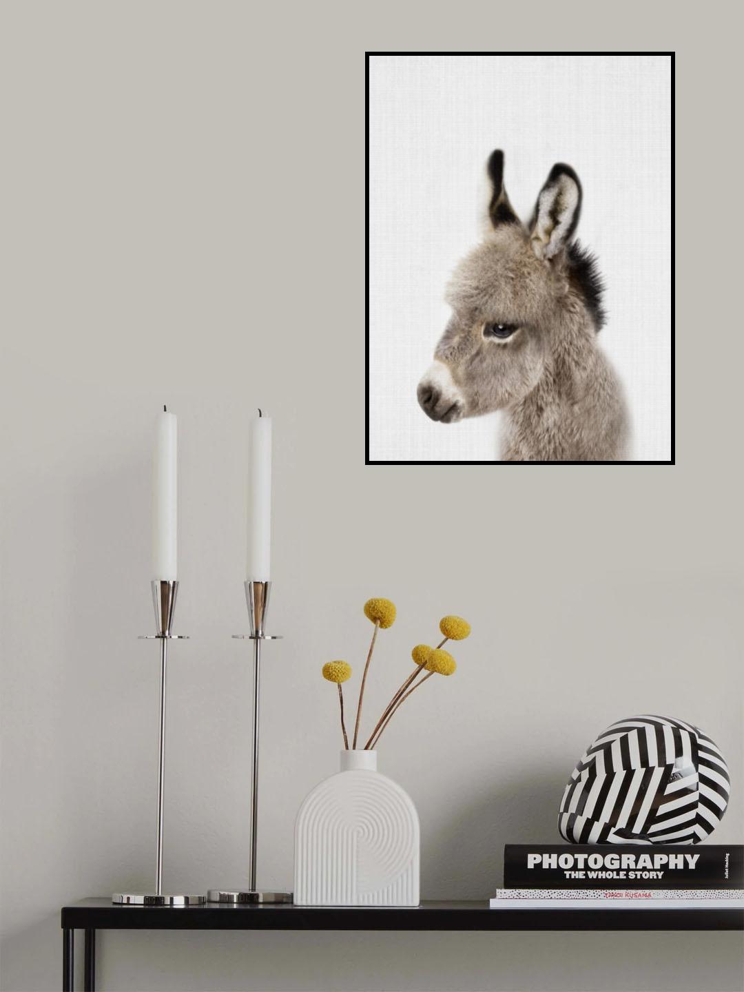 Peekaboo Baby Donkey Poster och Canvastavla