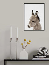 Peekaboo Baby Donkey Poster och Canvastavla