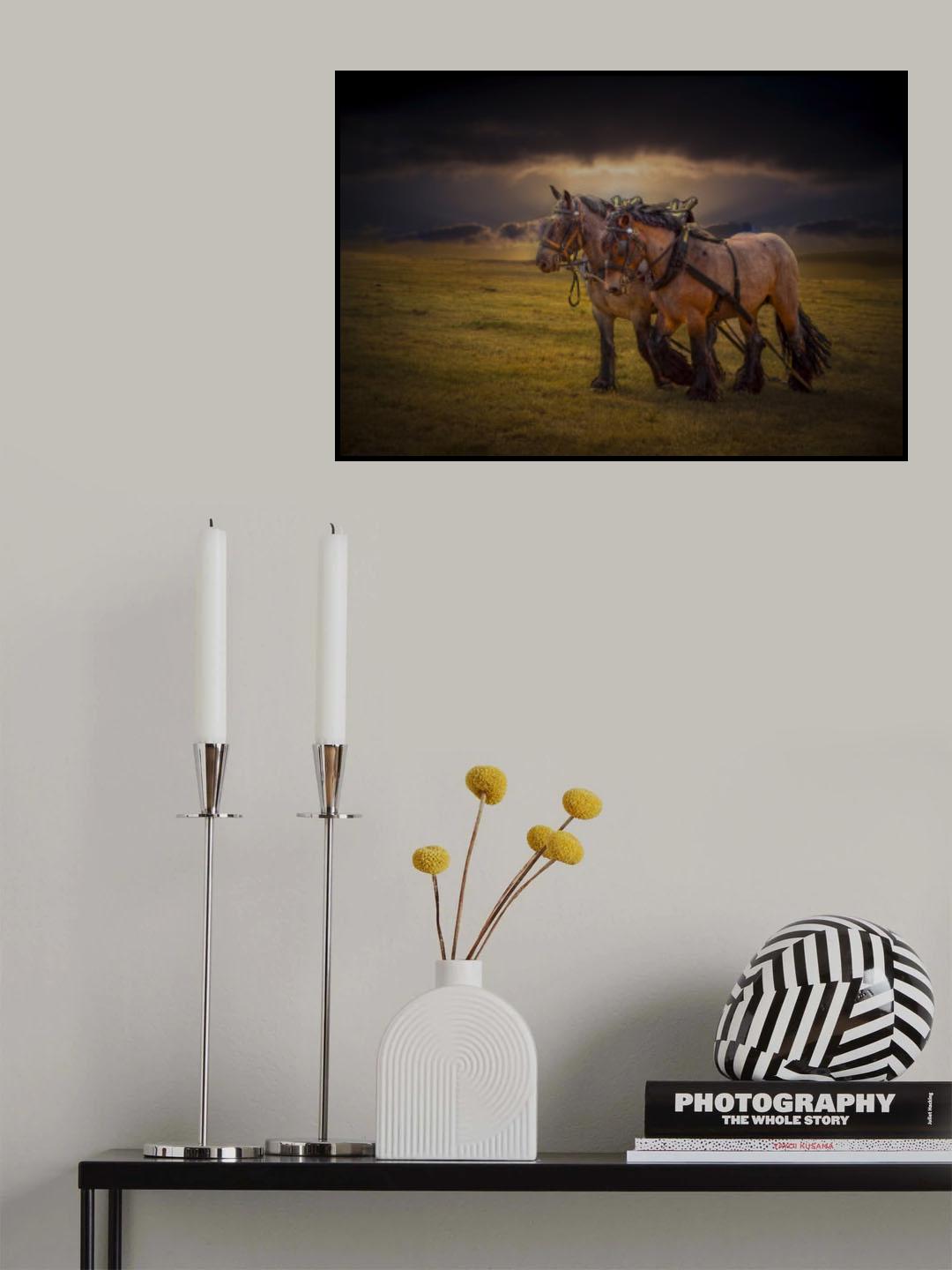 horses Poster och Canvastavla