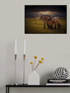 horses Poster och Canvastavla