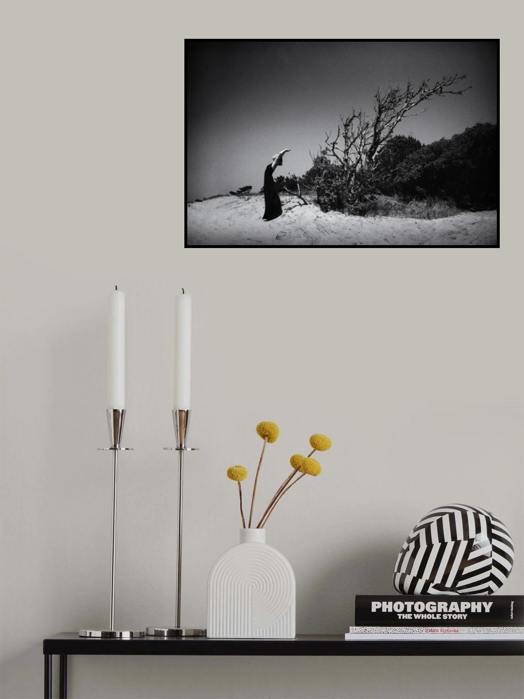 the bow Poster och Canvastavla