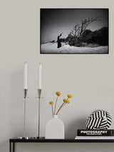 the bow Poster och Canvastavla