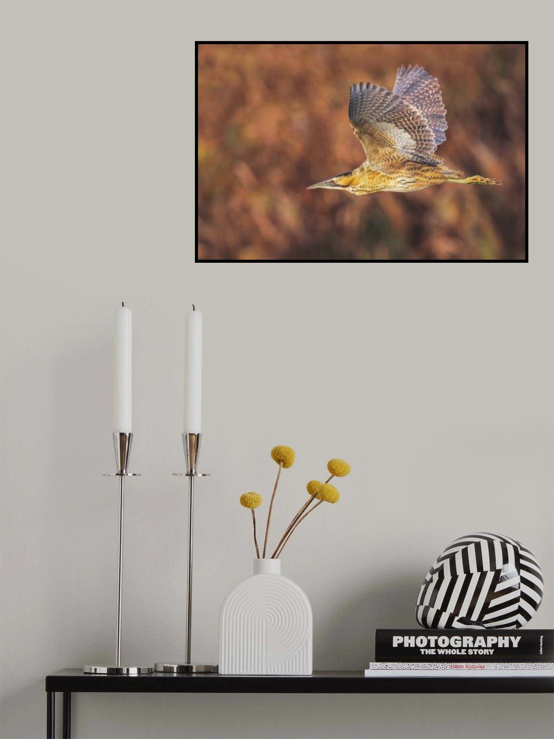 he flight of the bittern Poster och Canvastavla