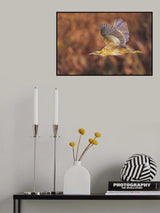he flight of the bittern Poster och Canvastavla