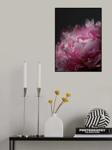 Moody pink peony I Poster och Canvastavla