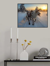 The morning drive to the herd Poster och Canvastavla