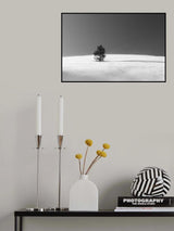 Alone Poster och Canvastavla