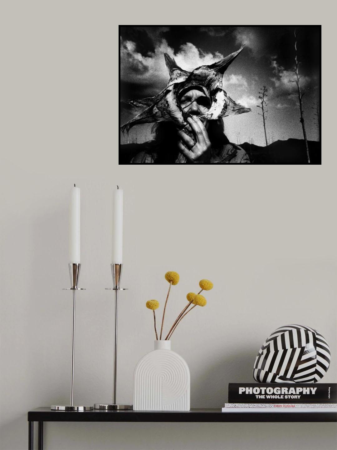 Agave II. Poster och Canvastavla